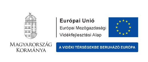 eu palyazat